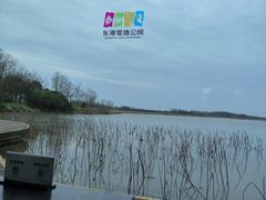 -东滩湿地公园观海楼餐厅
