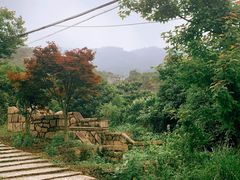 -大罗山风景区