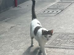 -上海蔡元培故居陈列馆