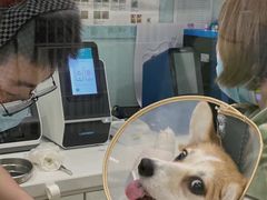 -萌兽医馆·眼科·异宠专科(三里屯店)