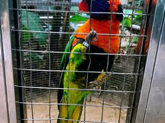 -大连森林动物园