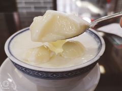 顺德双皮奶-民信老铺(双皮奶博物馆店)