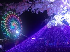 -观澜山水田园