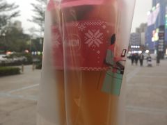 招牌水果青茶-YO!TEA有茶(坂田佳华领汇店)