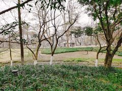 -九曜山