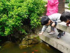 -苏州文旅花间堂·探花府酒店