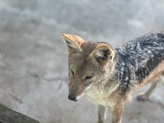 -杭州野生动物世界