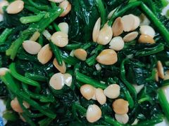 -爱月宝月嫂育儿嫂(太原店)