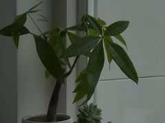 -稀物集咖啡(徽州大道店)