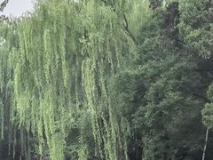 -熙春园餐厅