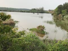 -象山森林公园