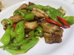青椒炒肉片-百年银屏蚝烙·潮汕菜·非遗(乐山店)