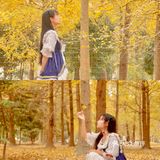 秋日金色童话☀️邂逅午后阳光宝藏银杏园
