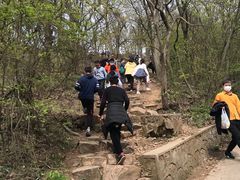 -紫金山山顶公园