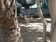 -灵玲国际马戏城