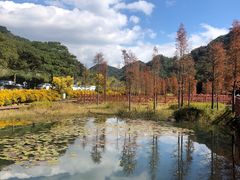 -广州市石门国家森林公园