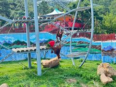 -西霞口神雕山野生动物世界