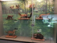 -下渚湖国家湿地公园科普馆