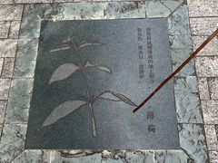 -广州神农草堂中医药博物馆