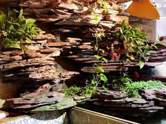 -山水茶艺馆·点心粤菜·30年老字号