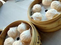 -金悦轩海鲜城(渔人码头店)