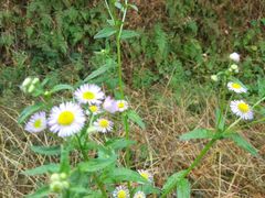 -南京金牛湖风景区