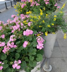 -安娜美甲美睫沙龙