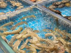 -山海•蒸汽活海鲜自助(皇庭广场店)