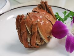 -七的湖·晚芳亭·阳澄湖农家菜·大闸蟹(莲花岛店)
