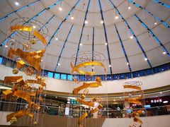 -万达广场(齐齐哈尔建华店)