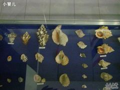 -海军上海博览馆