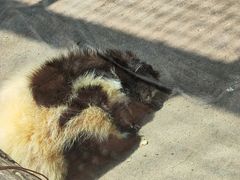 -石家庄市动物园