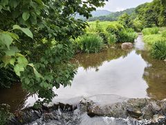 -中国茶叶博物馆(双峰馆区)