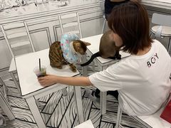 -白夜2D咖啡馆