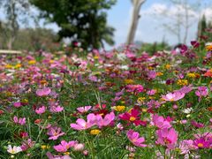 -三亚南山文化旅游区