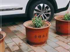 -陈记麻辣烫(浦口道店)