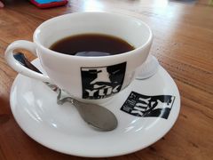 铁毕卡顶级圆豆-YLK云南小粒咖啡·云里咖(二号店)