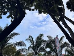-集美学村