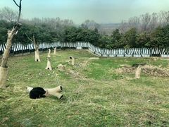 -西安秦岭野生动物园