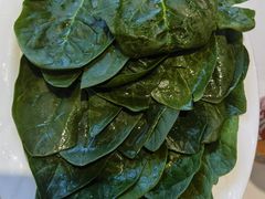 -澳洲肥牛火锅(转盘路店)