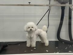 -comecome来吧宠物(奥克斯中心店)