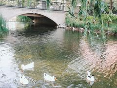 -河南财经政法大学(郑东校区)