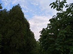 -铁道游击队纪念馆