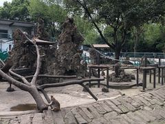 -成都动物园