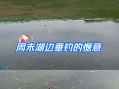 -哈尔滨大剧院