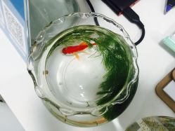 -肤原祛痘·科技修肤中心