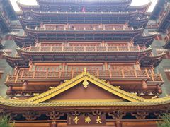 -大佛寺高级素食自助餐厅