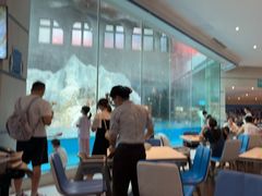 -帝企鹅自助餐厅•儿童岛•真企鹅(长隆企鹅酒店)