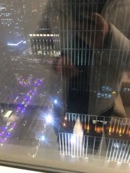 -净漪造型 PURE RIPPLE