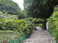 -乌山风景区